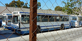 Busses. Beirut 2010. © Katrin Wächter