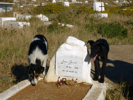 Grave of Jean Genet in Larache, Morocco. Photo: Stephen Barber